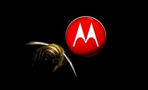 Motorola CEO Confirms 2 New Tablets For 2011