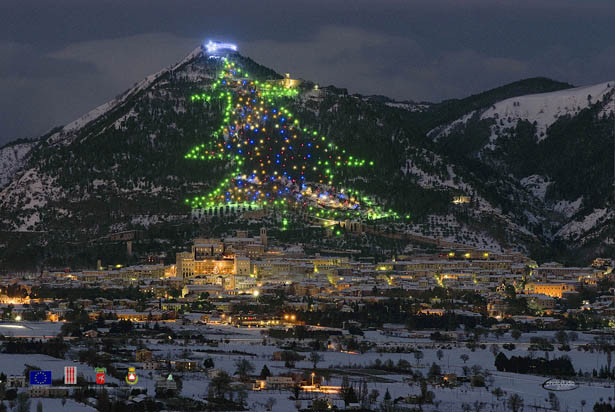 Pope Switches On Massive Christmas Tree’s Lights With Sony Android Tablet!