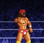 WWE Wrestlefest Running Wild on Apple iPad, iPhone & iPod Touch from February 21st!
