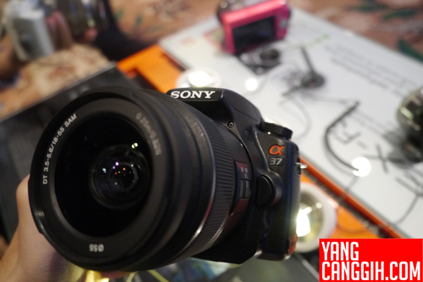 Details Leak For Two Unreleased Sony Cameras – The A37 and NEX-F3