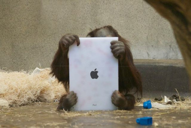 REEL TO REAL ► Rise of The Planet of the iApes – Orangutans Taught to Talk With Tablet