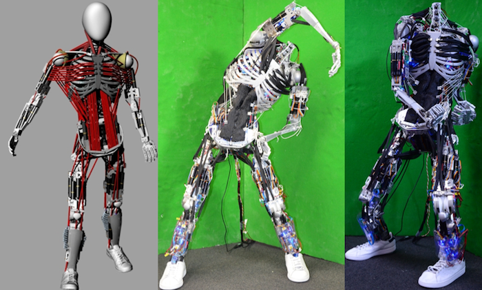 Only in Japan! Meet Kenshiro – The Musculoskeletal Humanoid Robot