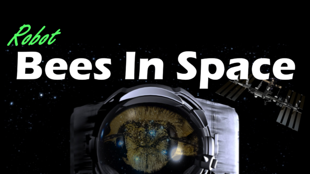 Space Bees – The ISS Maintenance Squadron – Queen Incoming
